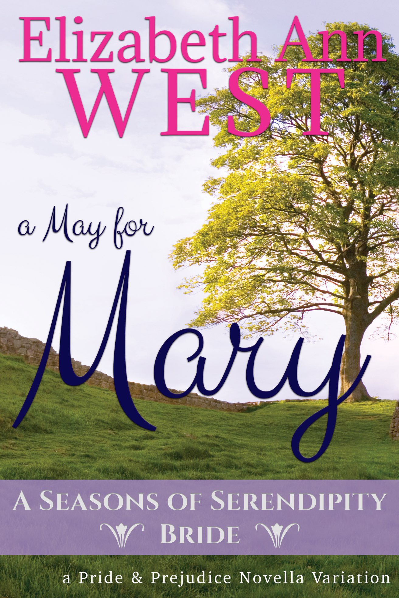 Cover for A May for Mary: A Pride and Prejudice Novella Variation