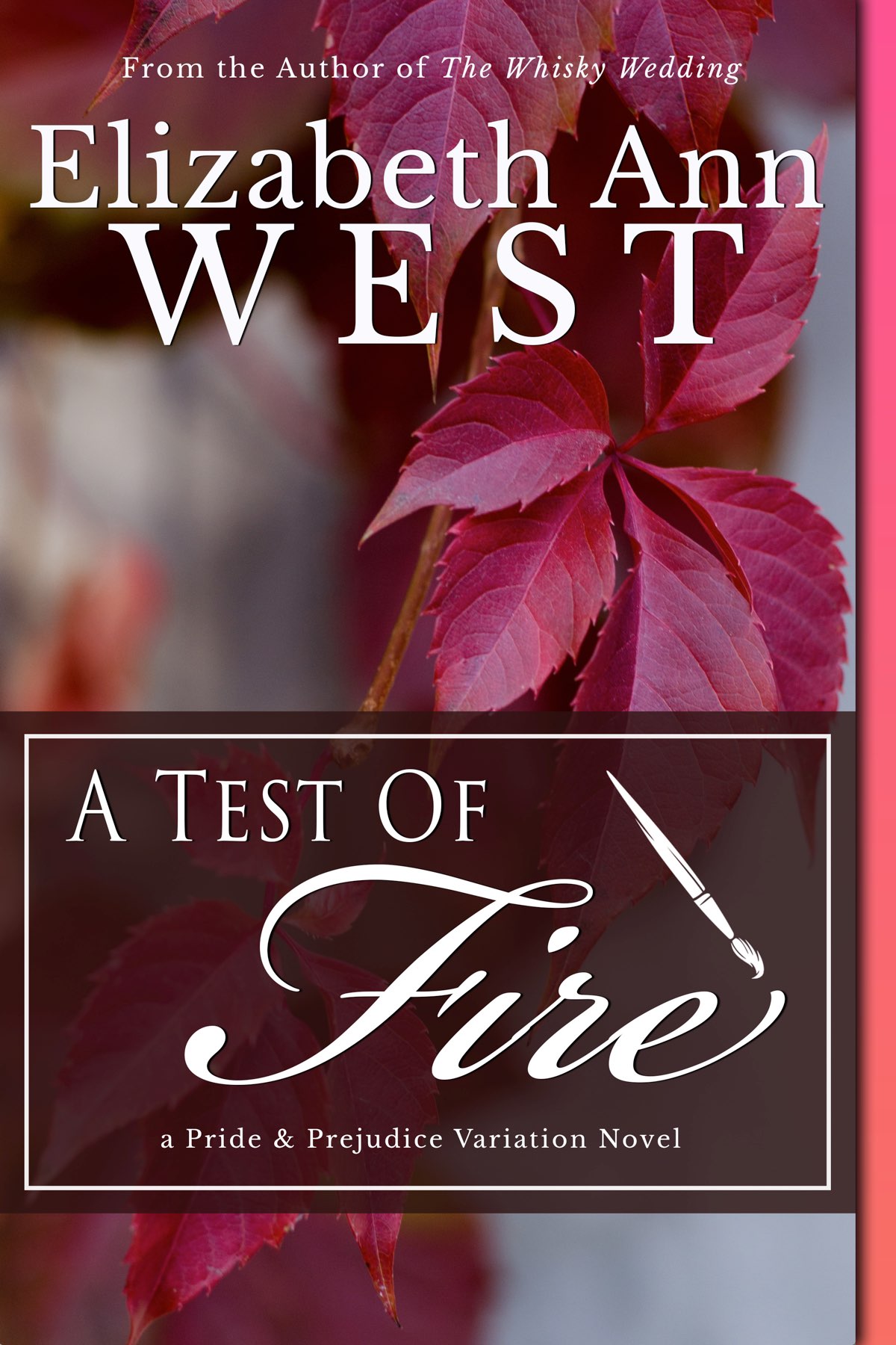 Cover for A Test of Fire: A Pride and Prejudice Variation Novel