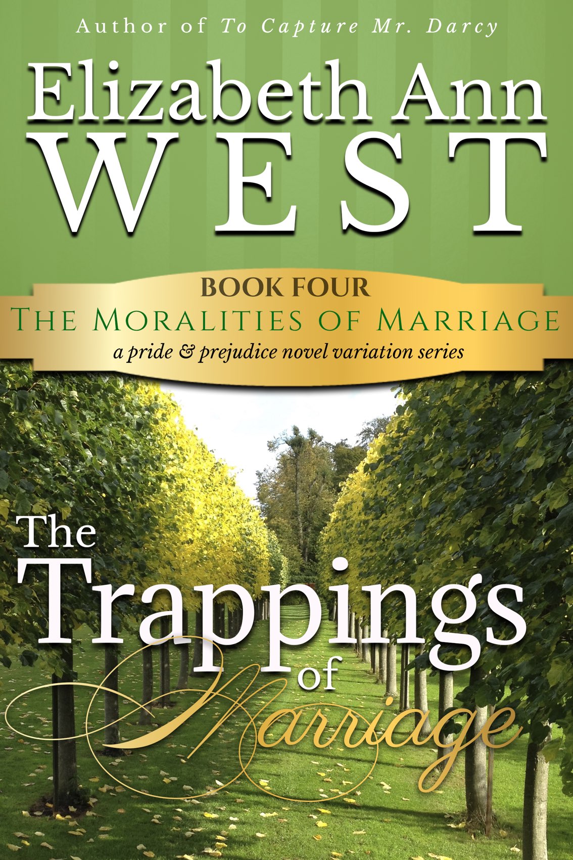 Cover for The Trappings of Marriage: A Pride and Prejudice Novel Variation